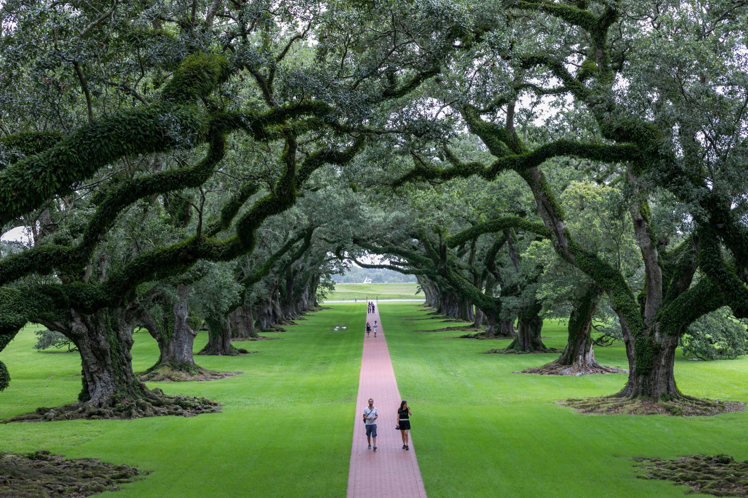 Oak Allay Plantation